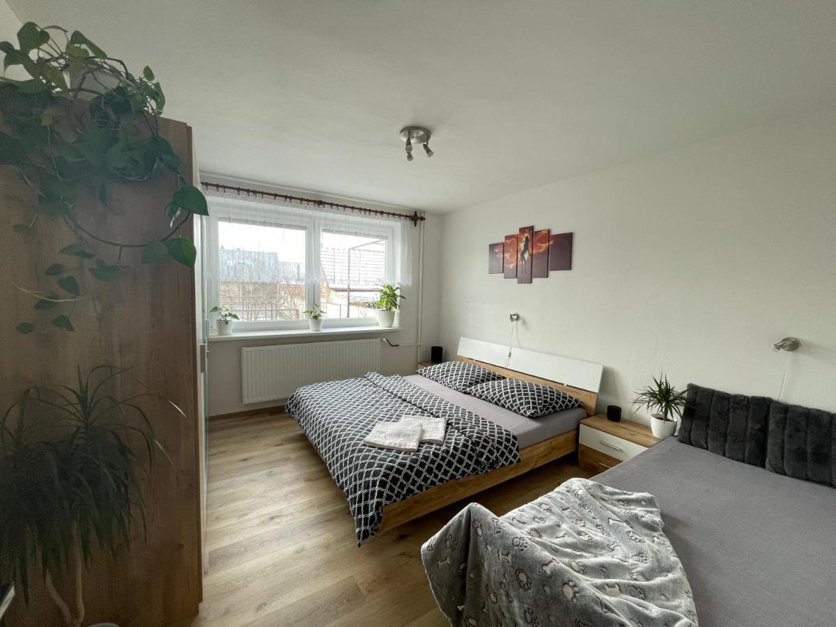 Friendly House In *